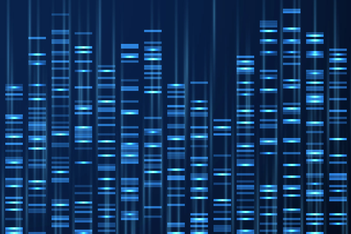 «Optical genome mapping» schliesst Lücke bei speziellen Fragestellungen